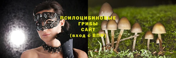 ALPHA-PVP Надым