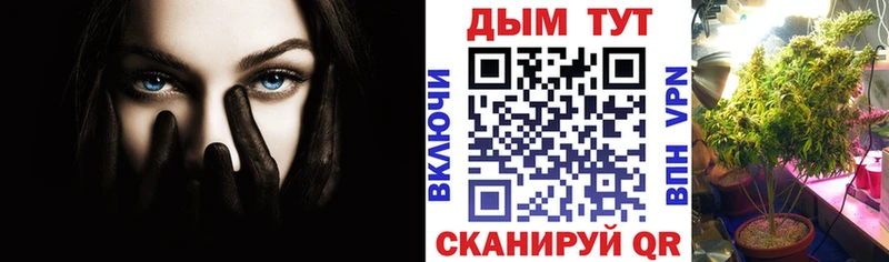 mega маркетплейс  Ленинградская  Канабис Amnesia 